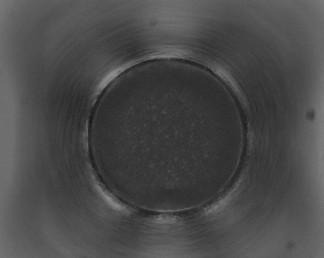 X0000093450842200710191101