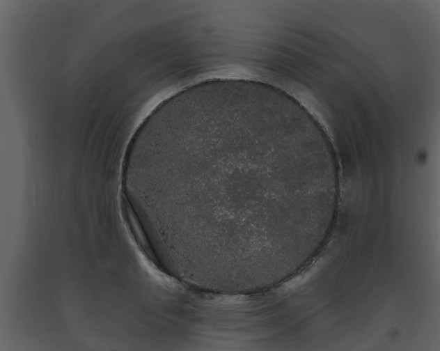 X0000093450845200710191101