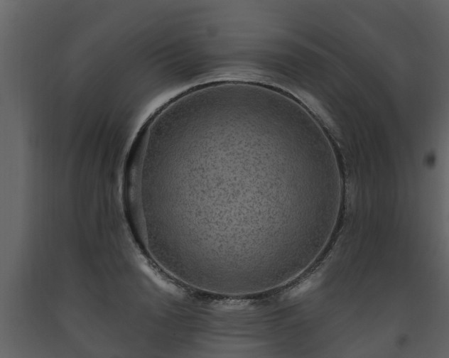 X0000093450846200710191101