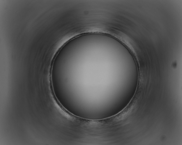 X0000093450847200710191101