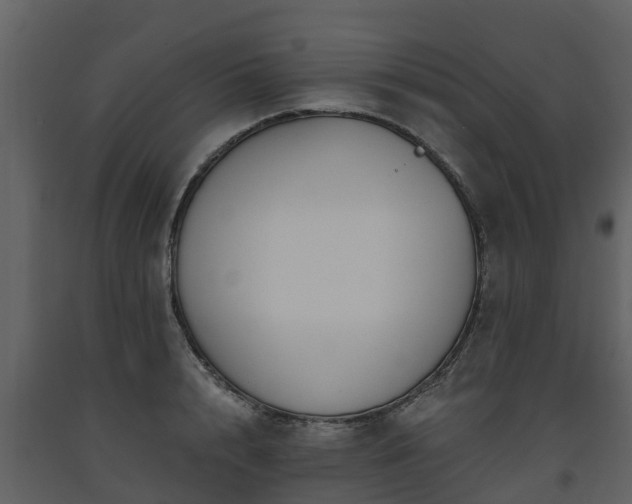 X0000093450848200710191101