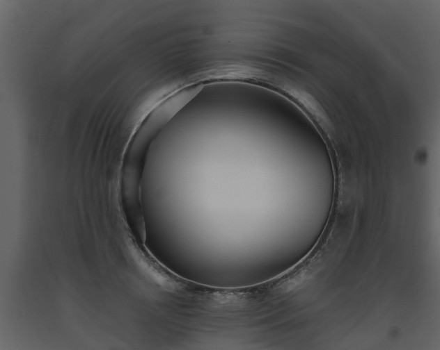 X0000093450850200710191101