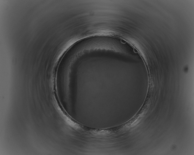 X0000093450851200710191101