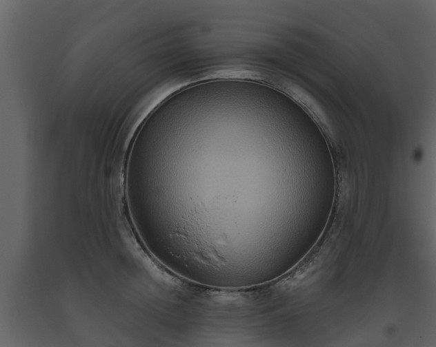 X0000093450852200710191101