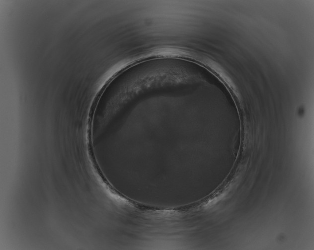 X0000093450853200710191101