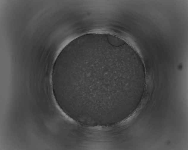 X0000093450855200710191101