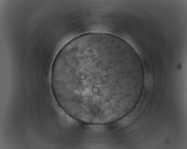 X0000093450856200710191101