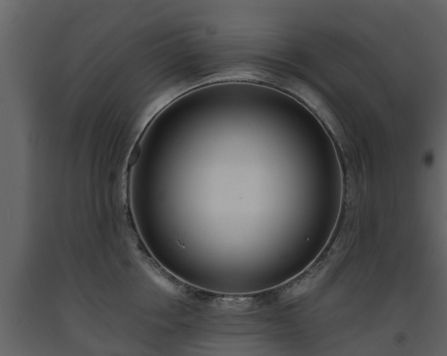 X0000093450858200710191101