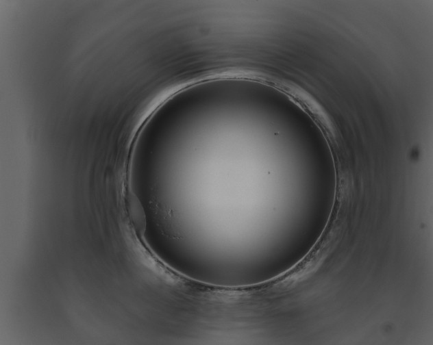 X0000093450860200710191101