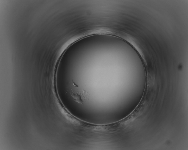 X0000093450861200710191101