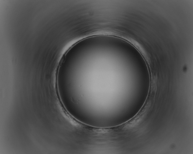 X0000093450862200710191101