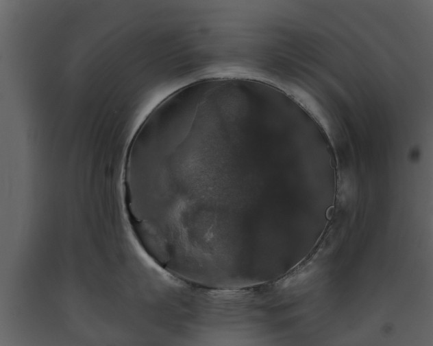 X0000093450863200710191101