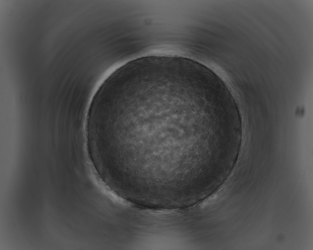 X0000093450864200710191101