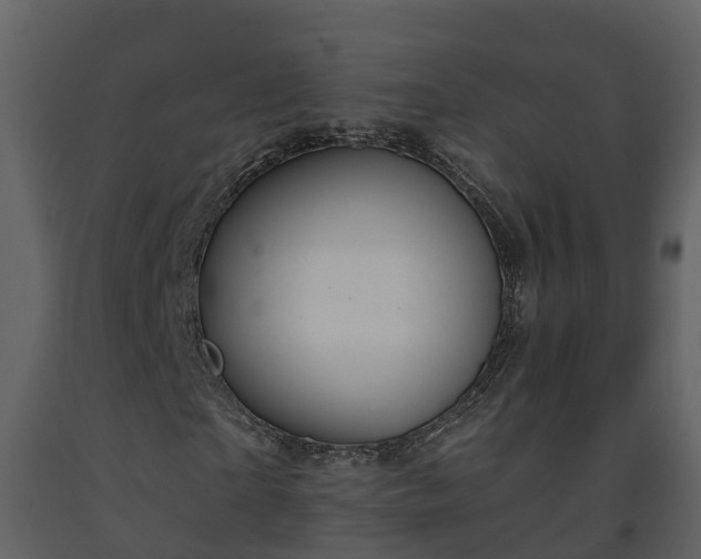 X0000093450865200710191100