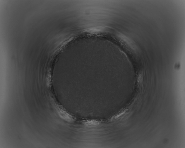 X0000093450868200710191100