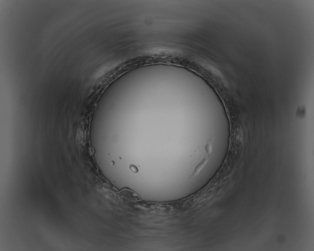 X0000093450869200710191100