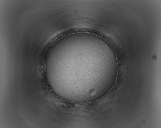 X0000093450870200710191100