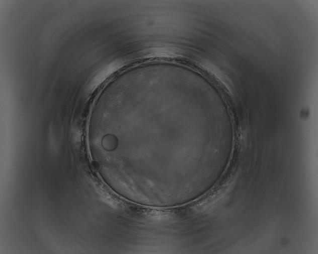 X0000093450874200710191100