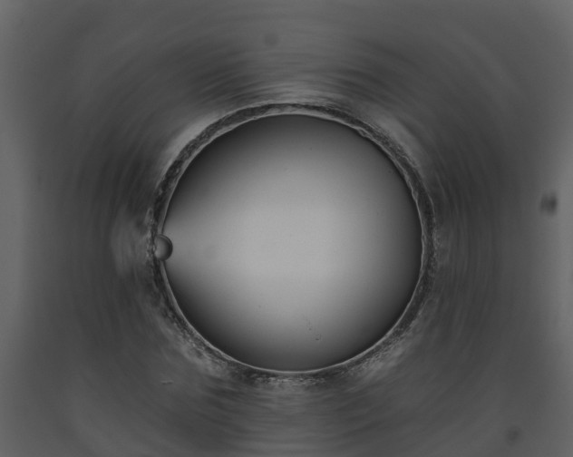 X0000093450875200710191100