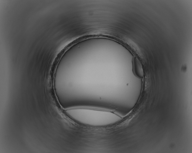 X0000093450876200710191100