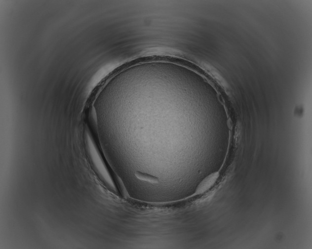 X0000093450877200710191100