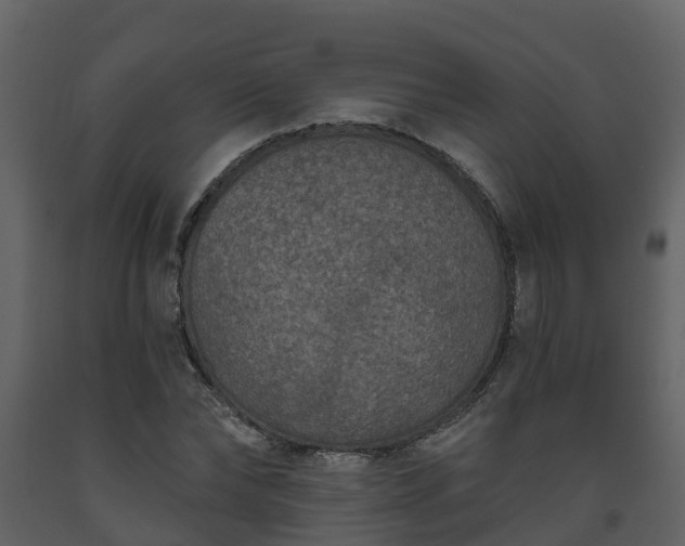 X0000093450878200710191100