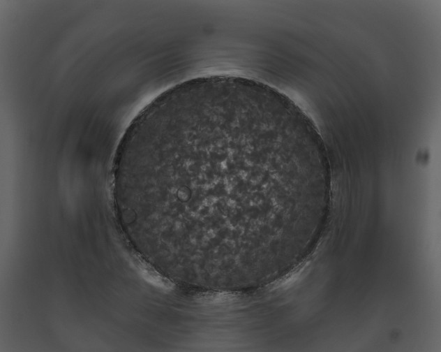 X0000093450879200710191100