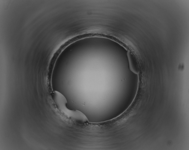 X0000093450880200710191100