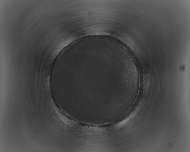 X0000093450881200710191100