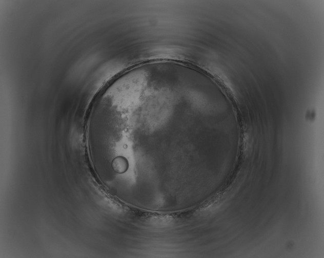 X0000093450882200710191100