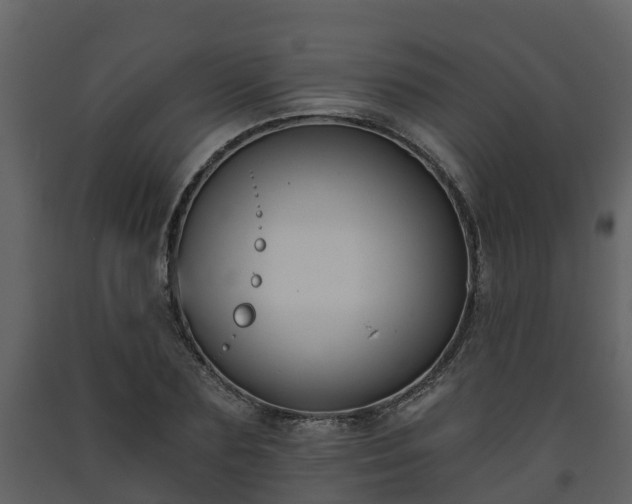 X0000093450883200710191100