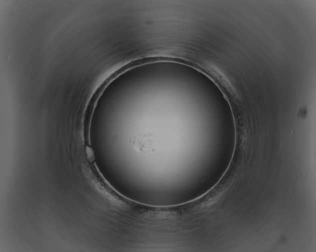 X0000093450884200710191100