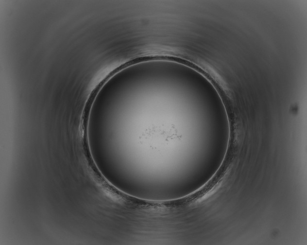 X0000093450885200710191100