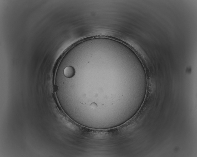 X0000093450886200710191100