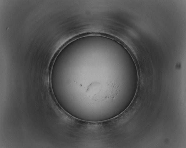 X0000093450887200710191100