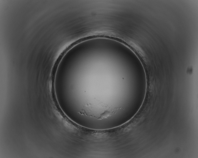 X0000093450888200710191100