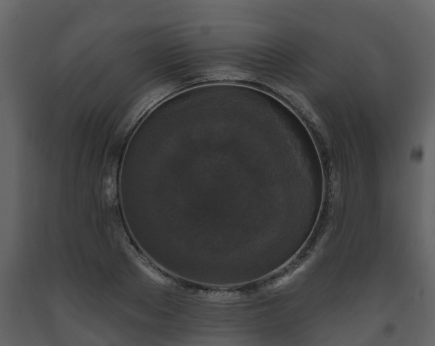 X0000093450889200710191100