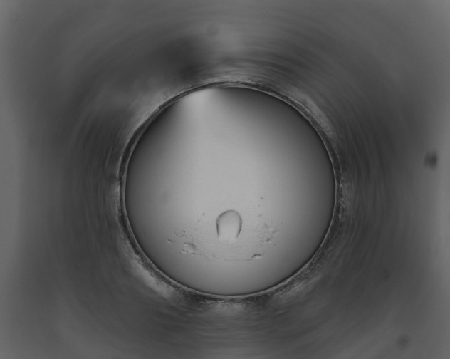 X0000093450890200710191100