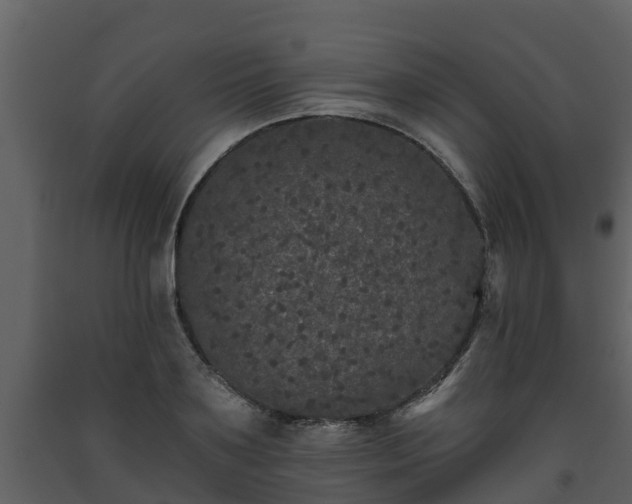 X0000093450891200710191100