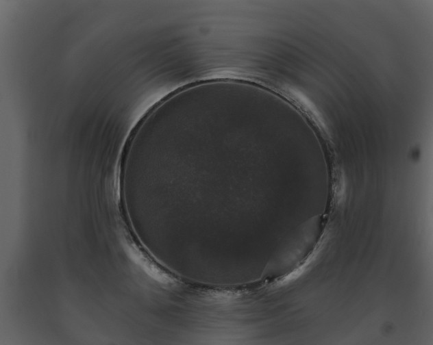 X0000093450892200710191100