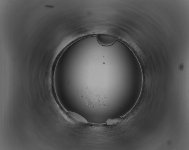 X0000093450894200710191100