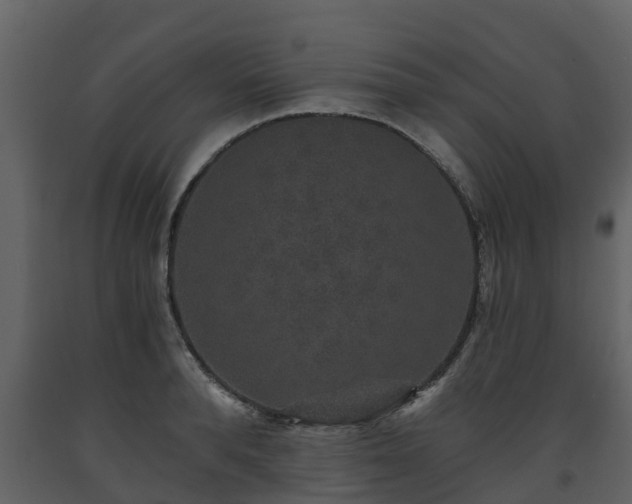 X0000093450896200710191100