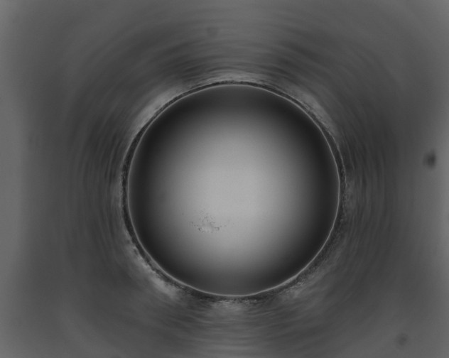 X0000093450898200710191100