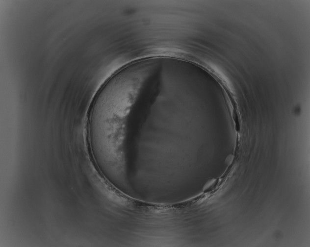 X0000093450899200710191100