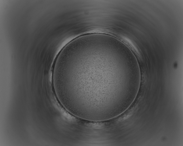 X0000093450900200710191100