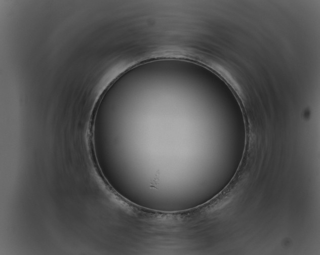 X0000093450901200710191100