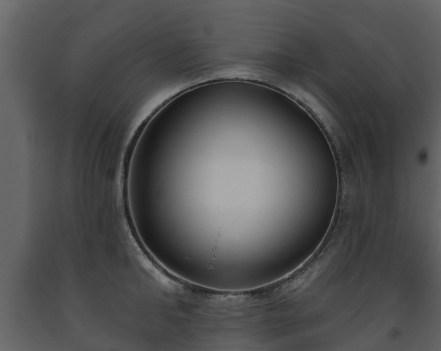 X0000093450902200710191100