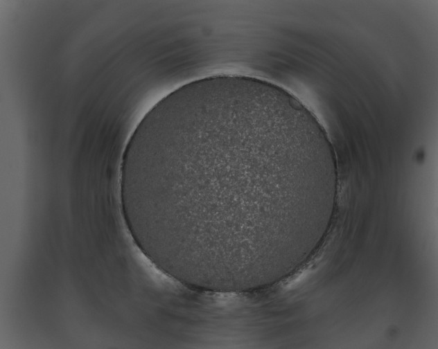 X0000093450903200710191100