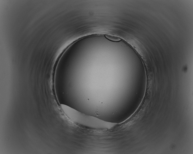 X0000093450904200710191100