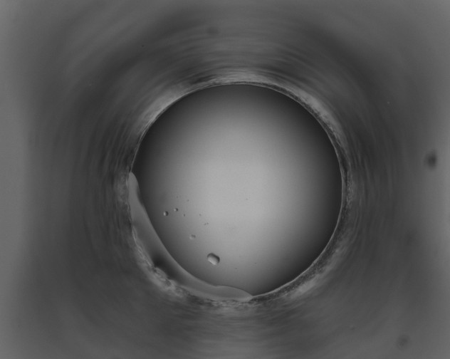 X0000093450905200710191100